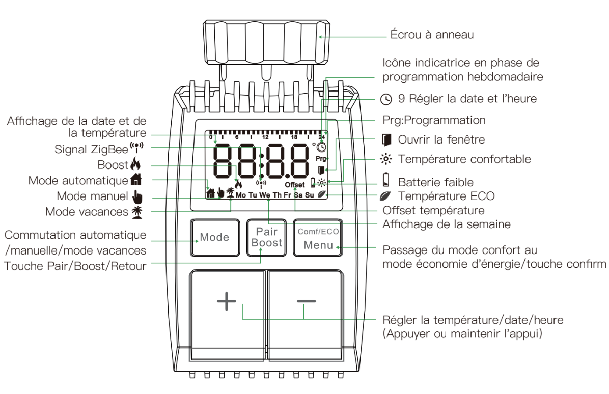 Présentation de la tête thermostatiques ZigBee Moes ZTRV-ZX-TV01-MS